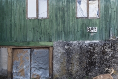 DSC1048-Editar